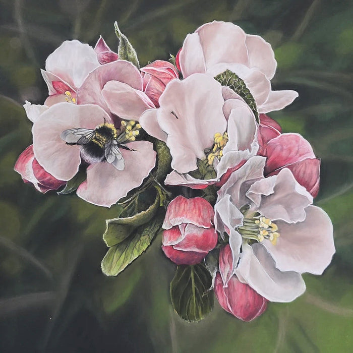 Bernadette Ballantyne