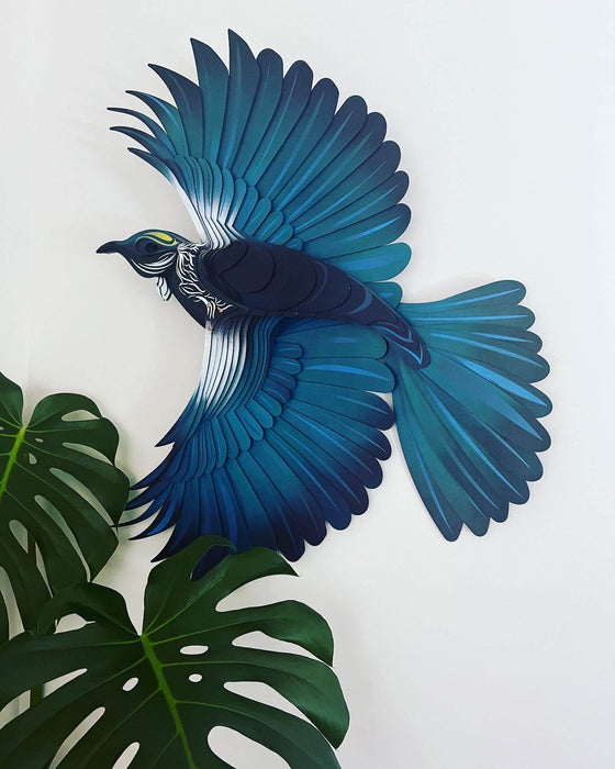 Large Tui