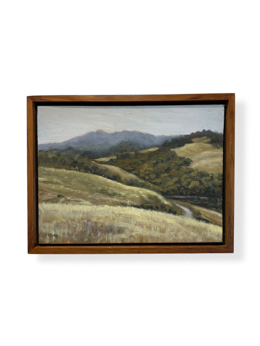 Karioi from Whaanga Road - 2