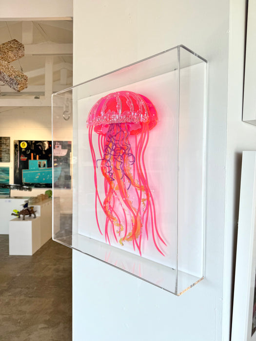 Jellyfish