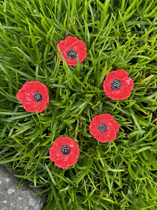 Anzac Poppies
