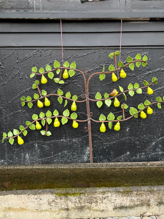 Pear Espalier