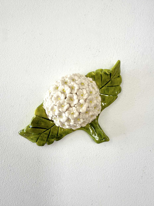 Hydrangea - Mini