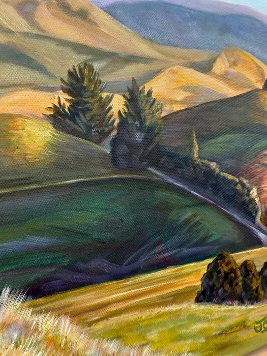 King Country Study 6