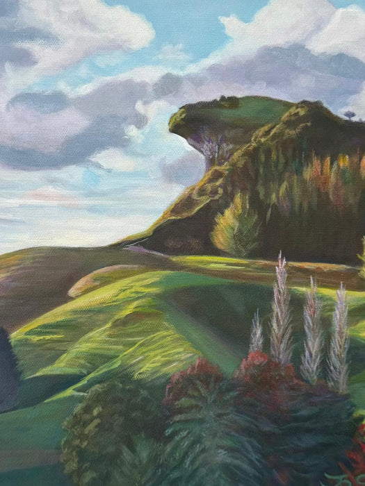 King Country Study 5