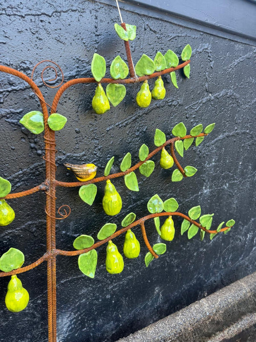 Pear Espalier