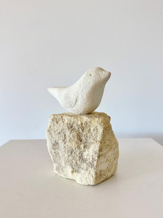 Bird on Rock