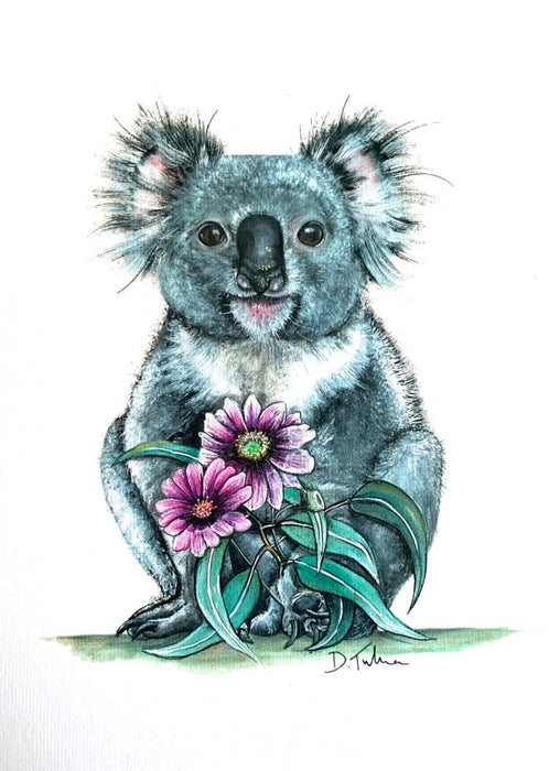 Little Koala