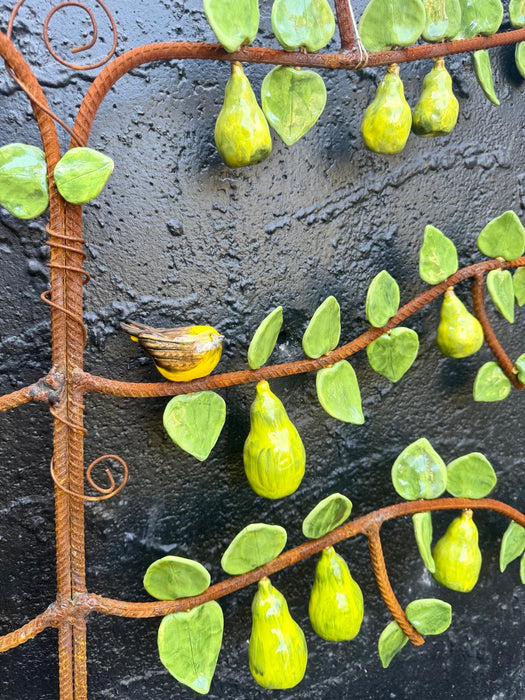 Pear Espalier