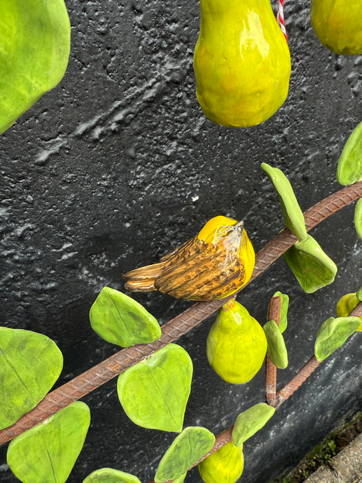 Pear Espalier