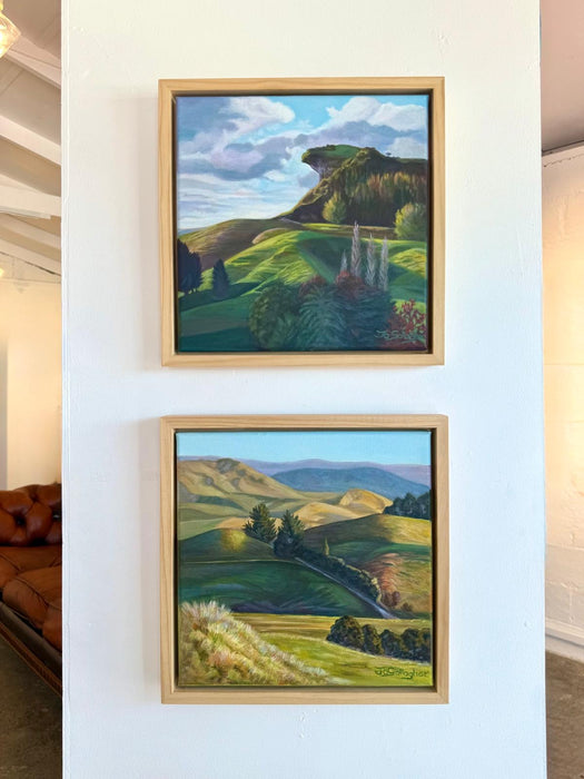 King Country Study 5