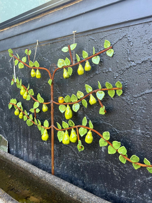Pear Espalier