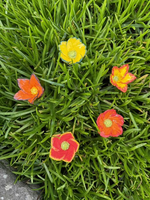 Hot Summer Blooms