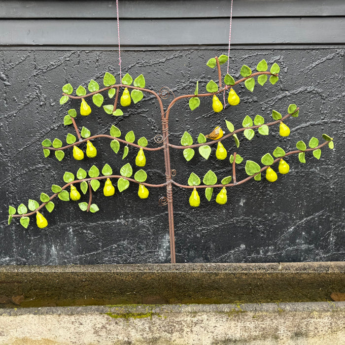 Pear Espalier