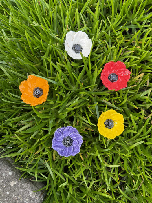 Mixed Poppies