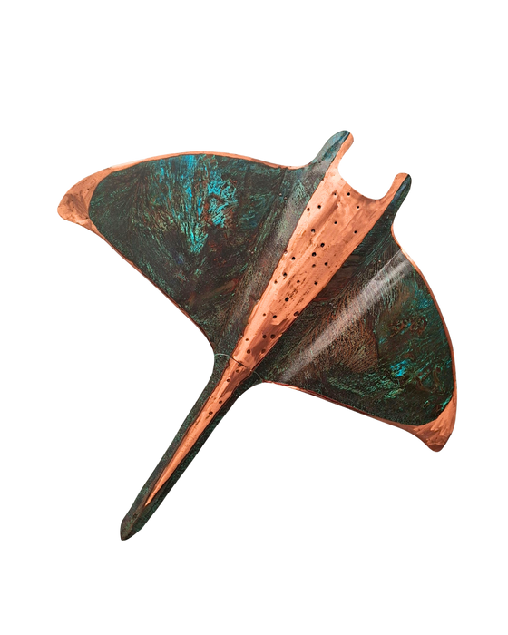 Giant Manta Ray
