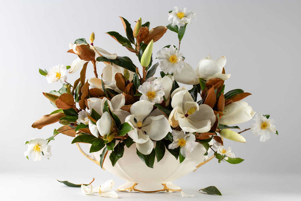 Magnolia Camellia