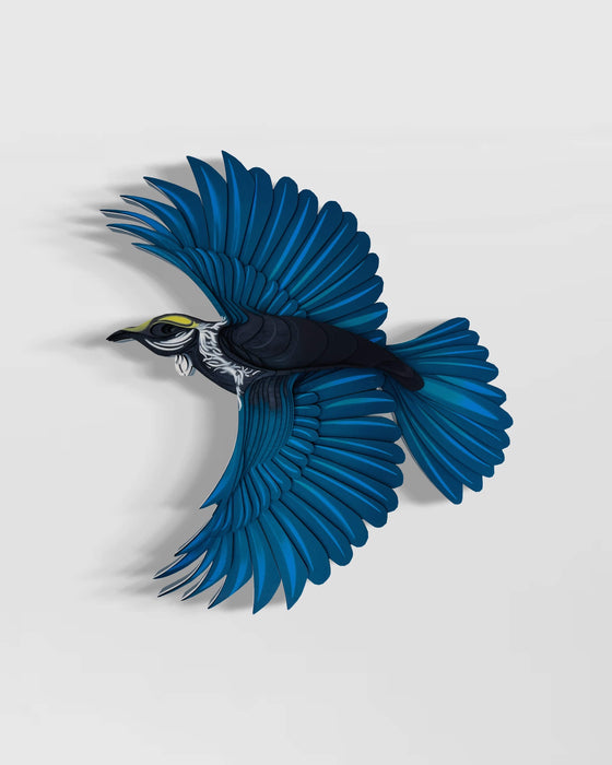 Tui