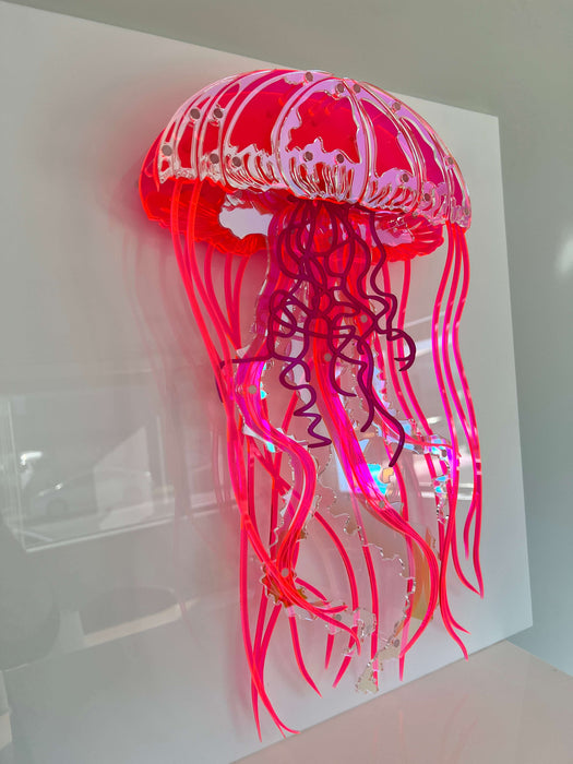 Jellyfish