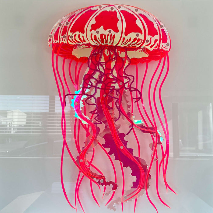 Jellyfish