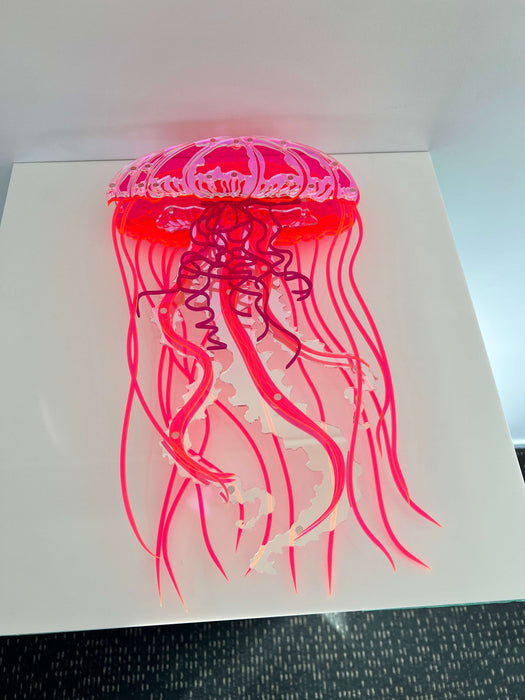 Jellyfish