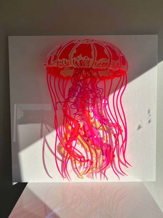 Jellyfish