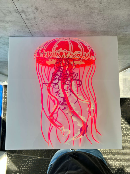 Jellyfish