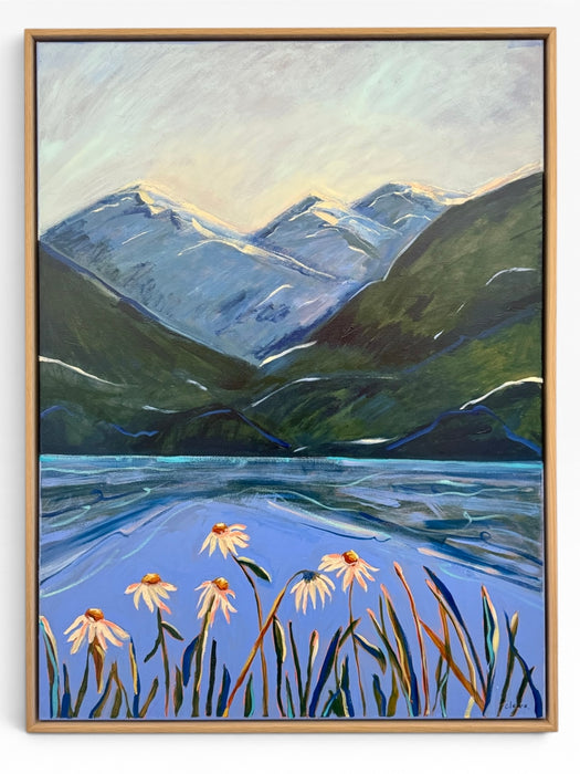 Mountain Daisies