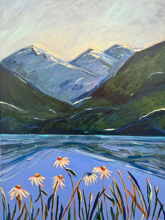 Mountain Daisies