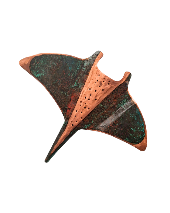 Reef Manta Ray