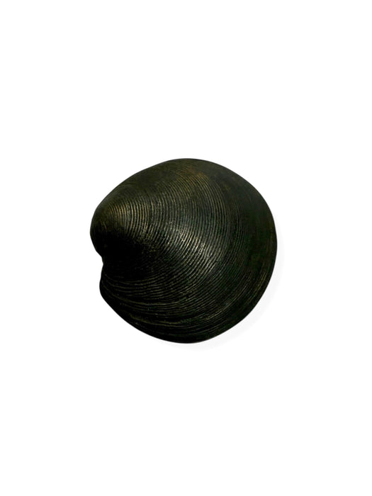 Singing Shell