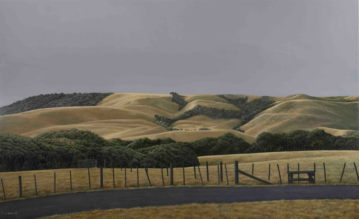 Te Paiakaroa Road
