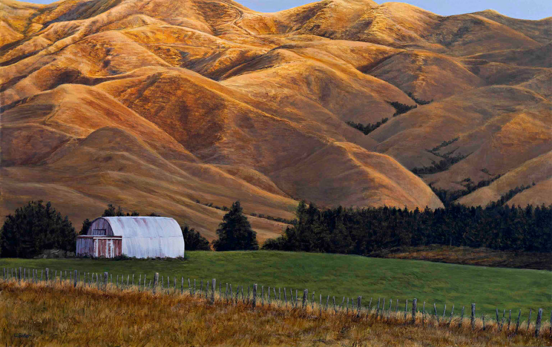 Te Uku Hills Last Light With Barn
