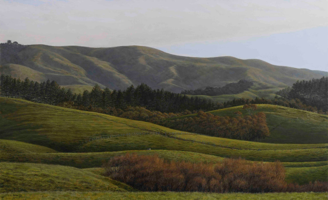 Te Uku Hills Soft Light