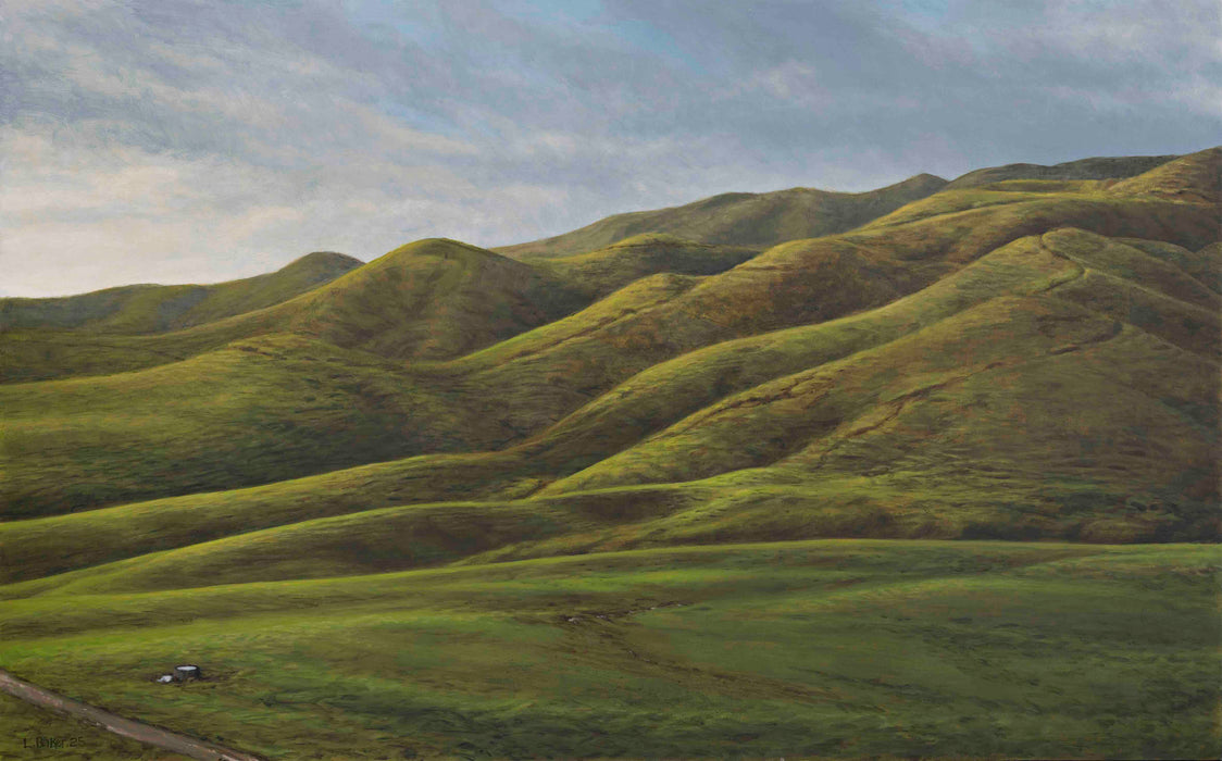 Van Houtte Road Green Hills