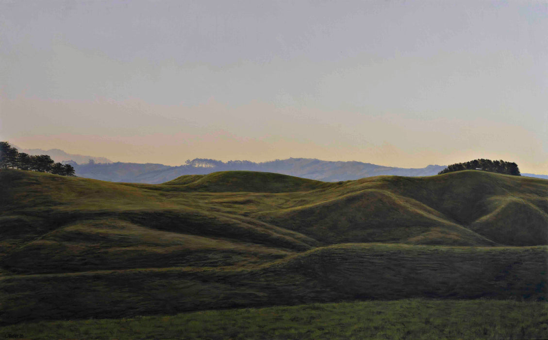 Van Houtte Road Evening Light