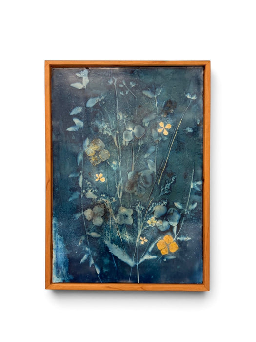 Wildflower Dreams