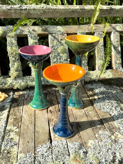 Bird Bath