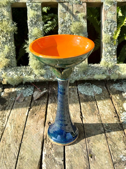 Bird Bath