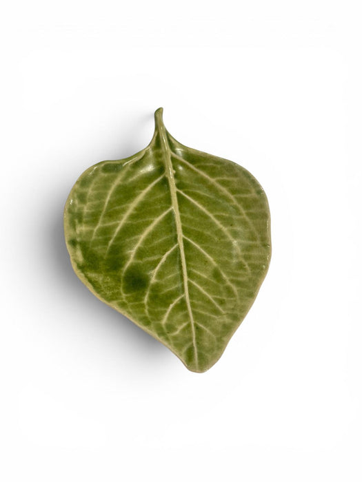 Leaf - Small