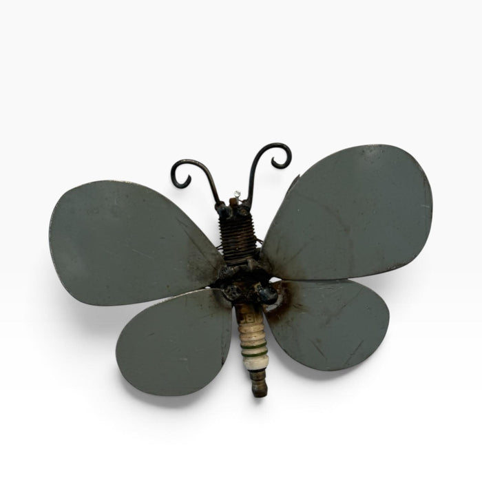 Butterfly 2