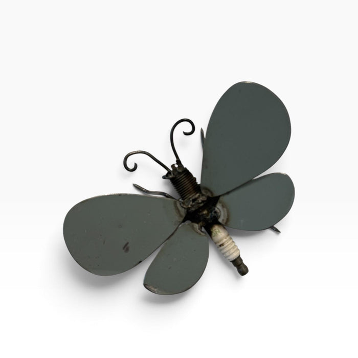 Butterfly 1