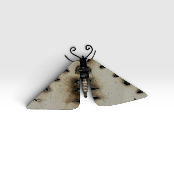 Moth 2
