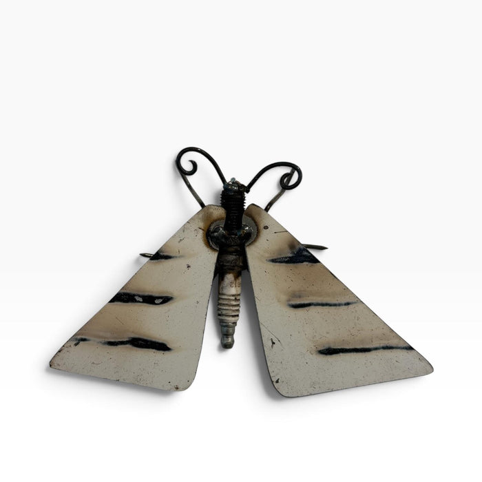 Moth 1