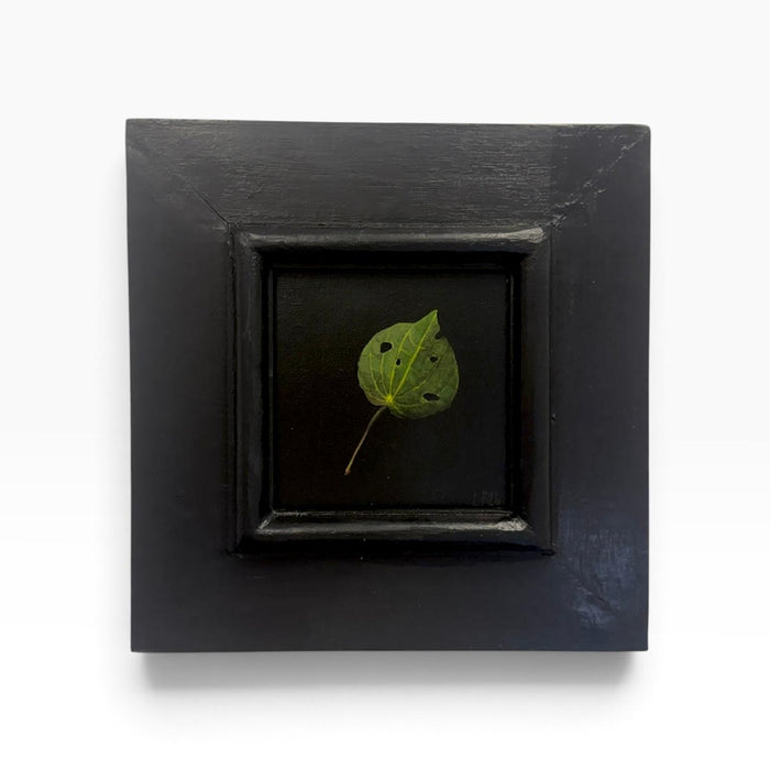 Kawakawa
