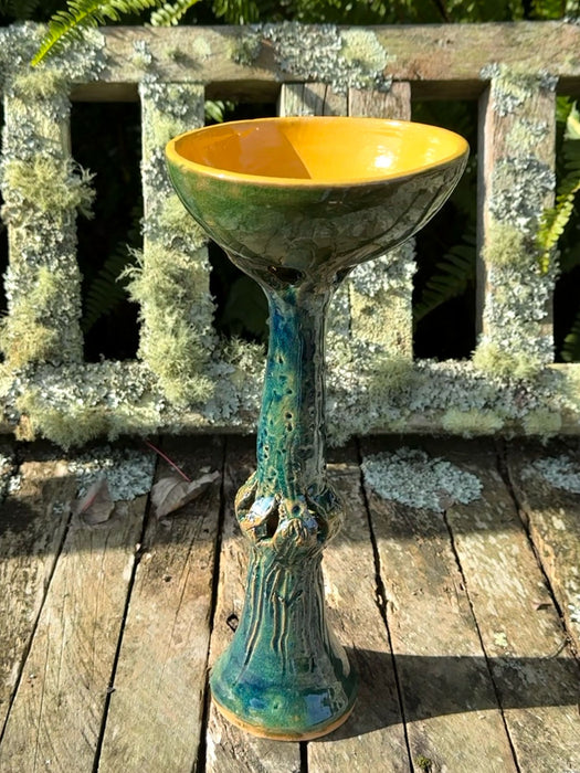 Bird Bath