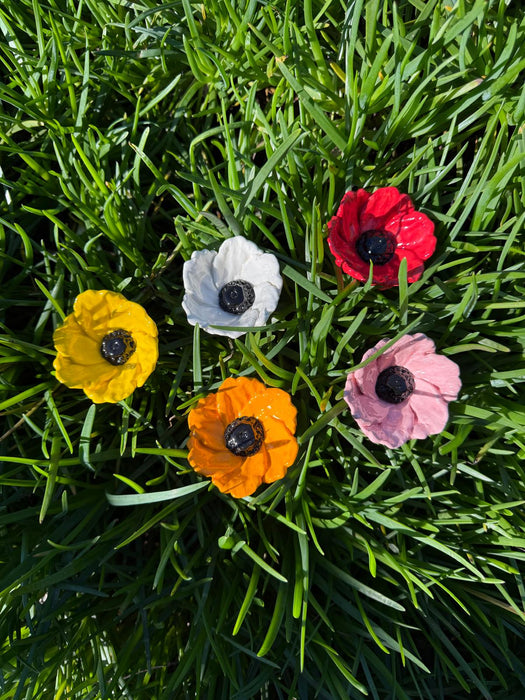 Mixed Poppies