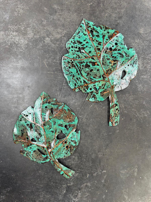 Kawakawa Leaves
