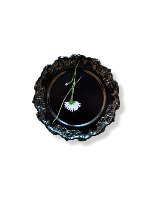 Ladies Plate I
