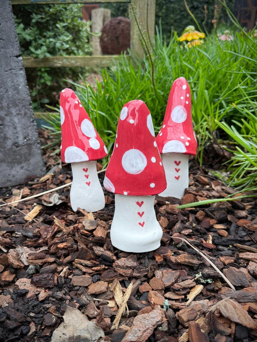 Toadstool set